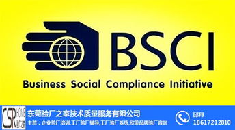 BSCI驗廠全面解析 費用、流程與專業咨詢服務指南