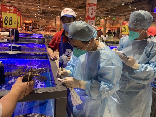 浙江首批菜場(chǎng)三文魚樣品檢測(cè)結(jié)果出爐 零售食用農(nóng)產(chǎn)品安全狀況引關(guān)注